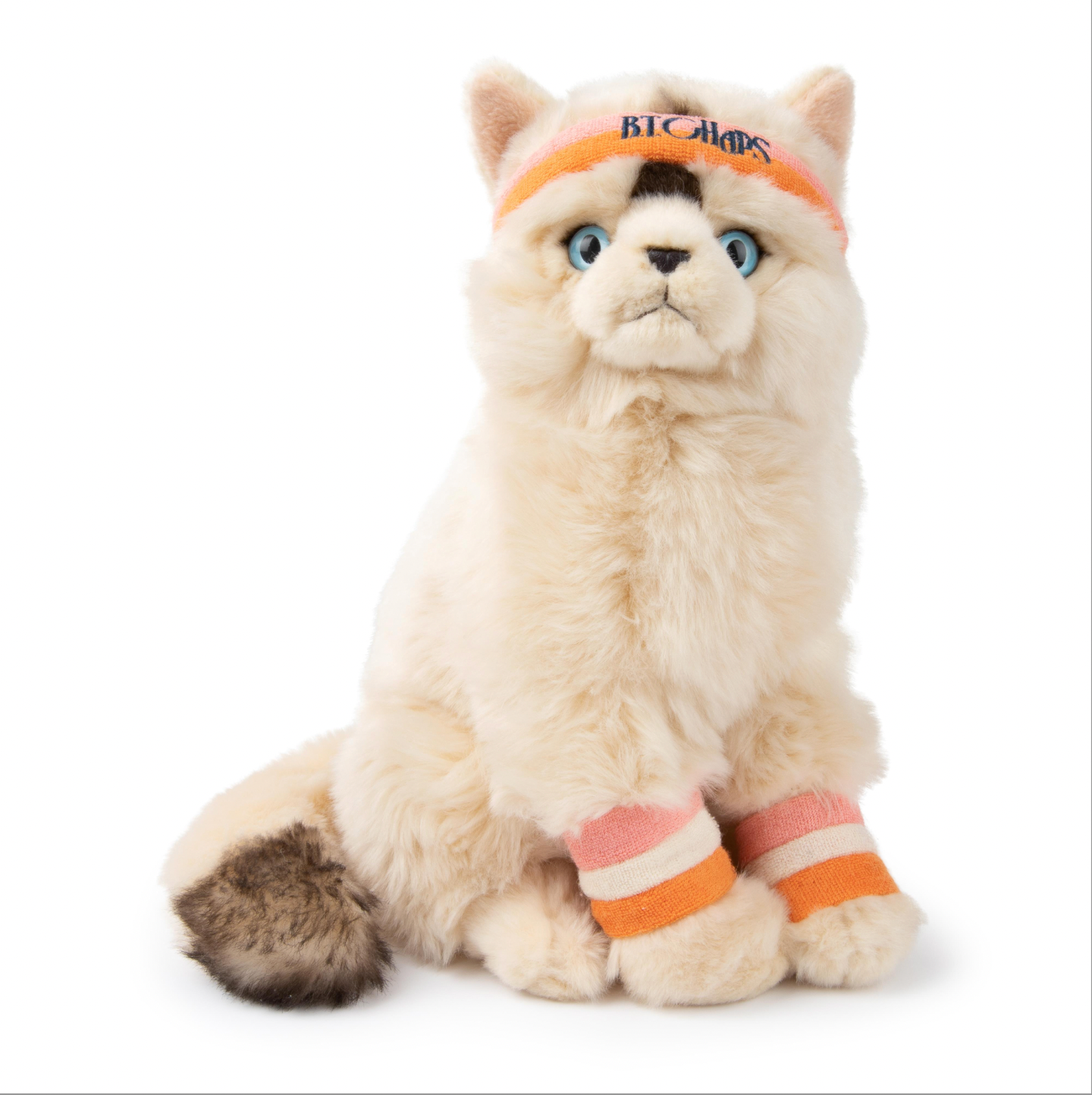 Dolly the ragdoll cat - 32cm