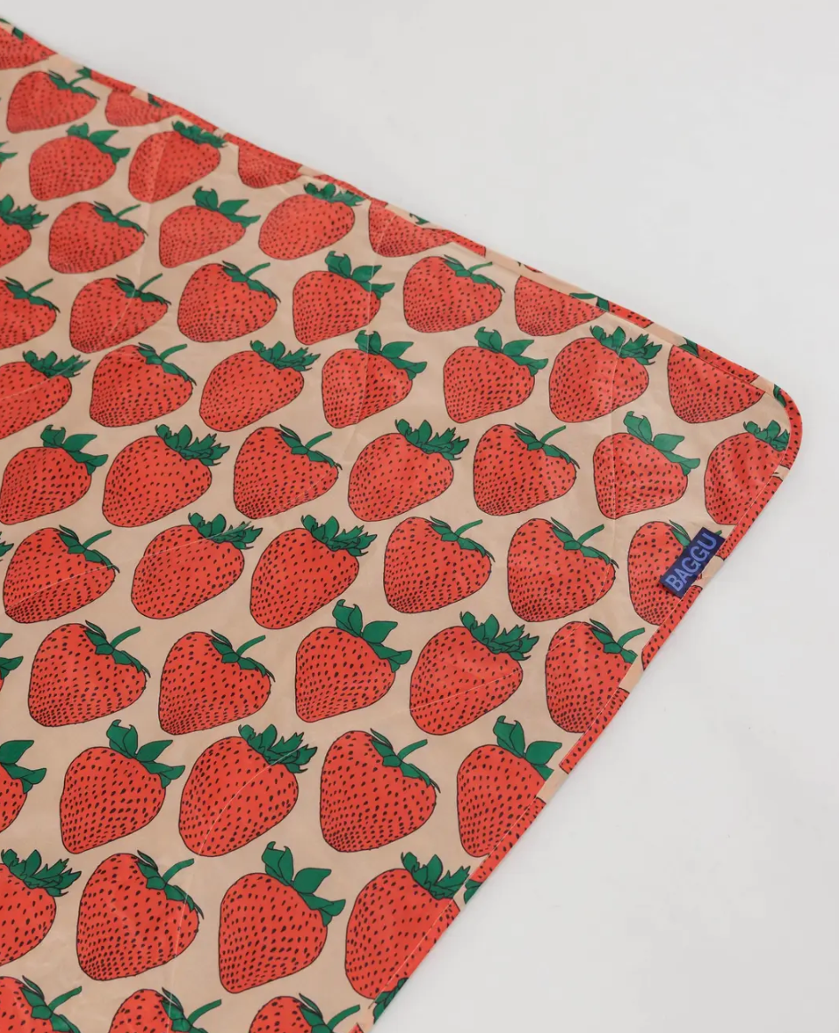 picnic blanket | strawberries